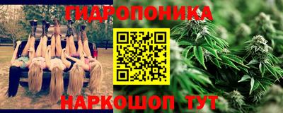 гашик Обнинск