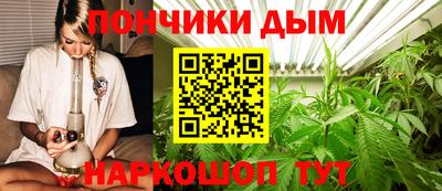 гашик Обнинск