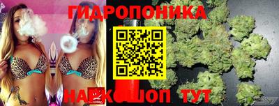 гашик Обнинск