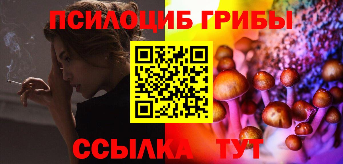 Галлюциногенные грибы прущие грибы  Вход с VPN  цены   Сегежа 
